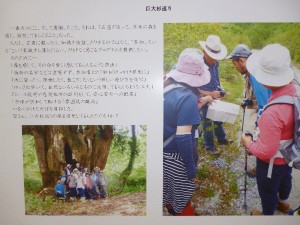 まち博２(1)